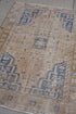 Antique Sarab Area Rug (3' x 4')